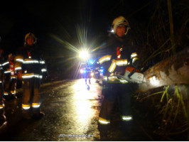 Spadlý strom na komunikaci Kala směr Roblín