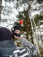 Záchrana kotěte ze stromu ulice Javorová