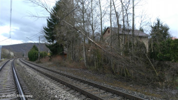 Spadlý strom do trakce železnice ulice Zd.Lhoty