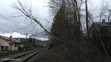 Spadlý strom do trakce železnice ulice Zd.Lhoty