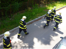 Odchyt hada z RD ulice Libušina