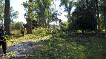 Spadlé stromy a větve na cyklostezku