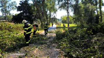 Spadlé stromy a větve na cyklostezku