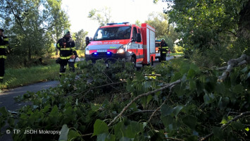 Spadlé stromy a větve na cyklostezku