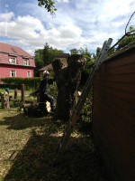 Prasklé větve i strom ulice Fugnerova