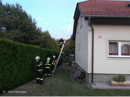 Likvidace sršňů na RD ulice Topolská