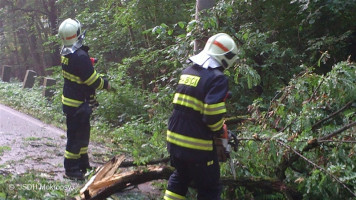 Likvidace spadlých stromů ulice Karlštejnská