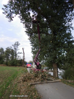 Likvidace prasklých větví nad cyklostezkou Radotin