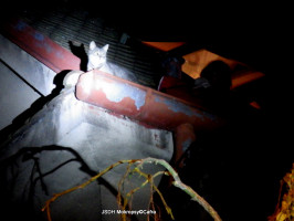Záchrana kocoura ze střechy ulice V Horce