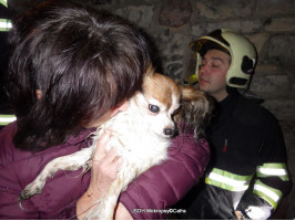 Záchrana psa z podzemní trubky ulice V Horce