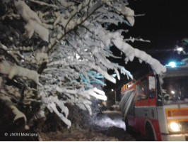 Likvidace spadlých stromů po vydatném sněžení