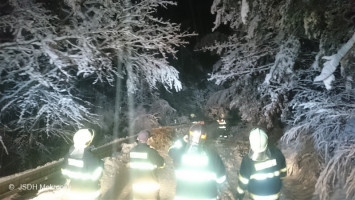 Likvidace spadlých stromů po vydatném sněžení