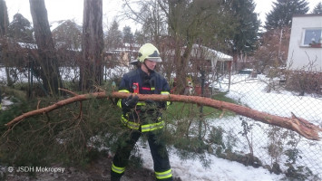 Odstranění prasklé větve nad komunikací V topolích