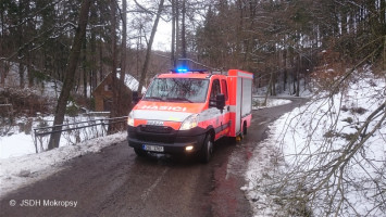 Odstranění spadlých stromů Karlické údolí