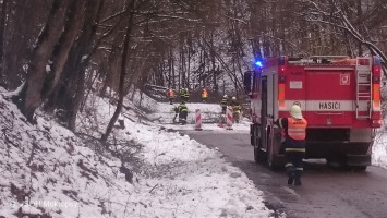 Odstranění spadlých stromů Karlické údolí