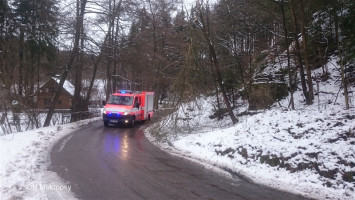 Odstranění spadlých stromů Karlické údolí