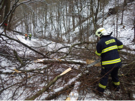 Odstranění spadlých stromů Karlické údolí