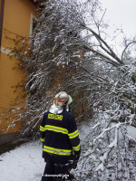 Odstranění spadlého stromu na RD ulice Ke Švarcavě