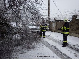 Odstranění spadlého stromu ulice Komenského