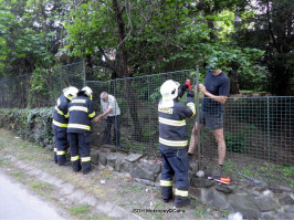 Likvidace nakloněného stromu ulice Vrážská