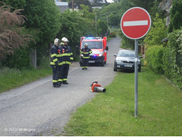 Likvidace bodaveho hmyzu ulice K višňovce