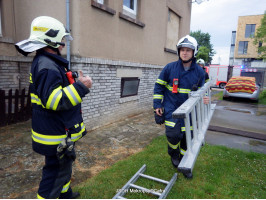 Likvidace bodaveho hmyzu ulice Mokropeská