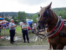 Asistence sportpark Berounka