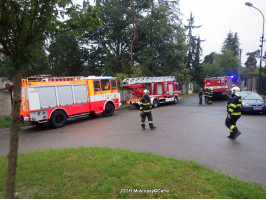 Poškozený strom bleskem ulice V boroví