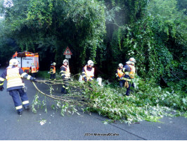 Padlý strom na komunikaci ulice Karlštejnská