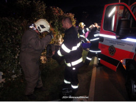 Likvidace sršňů na půdě RD ulice V Kosině