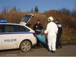 Vylovení mrtvé kachny pláž Mokropsy