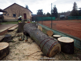 Výcvik v rizikovém kácení tenis Černošice