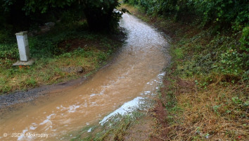 Zásahy spojené s přívalovým deštěm k.ú. Černošice