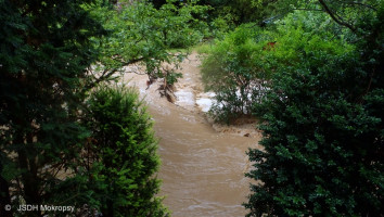 Zásahy spojené s přívalovým deštěm k.ú. Černošice