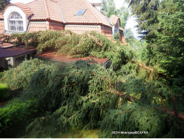 Odstraňování následků bouře Černošice