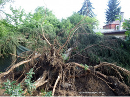 Odstraňování následků bouře Černošice den druhý