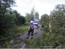 Nakloněný strom nad cyklostezku za ČOV