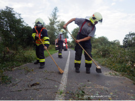 Nakloněný strom nad cyklostezku za ČOV